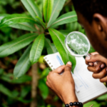Enviromental Sciences